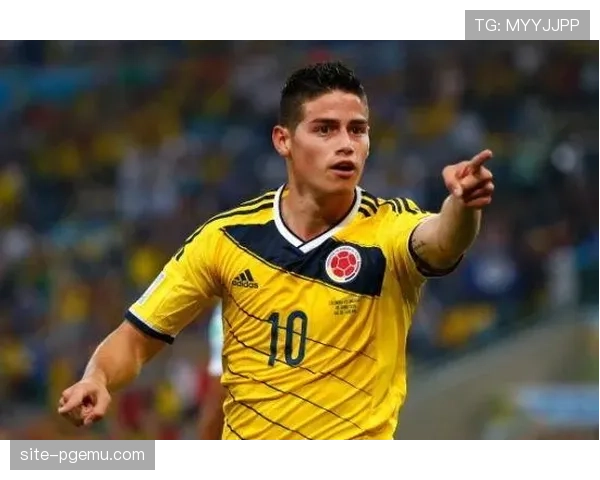 哥伦比亚J罗最后一届世界杯 南美劲旅小组出线形势较为明朗